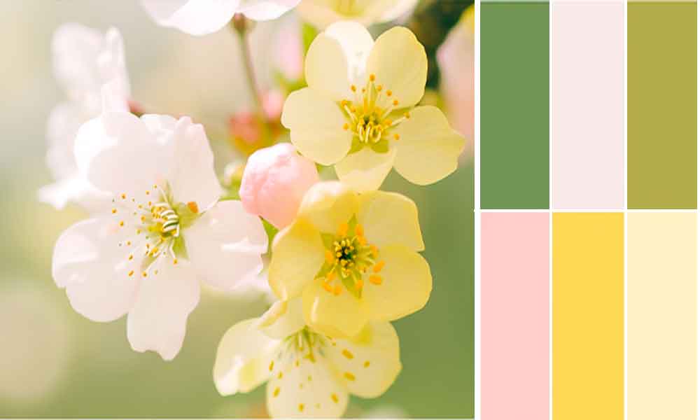 Spring Colour Palette